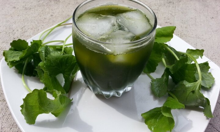 Giải độc lá ngón thế nào để giảm nguy cơ mất mạng?