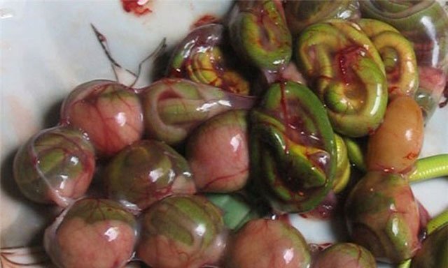 Quái dị món ăn rắn lục đuôi đỏ, chuột bao tử tăng cường 'bản lĩnh đàn ông' của đại gia