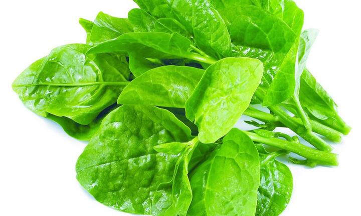 Hay ăn mồng tơi nhưng liệu bạn đã biết được tất cả công dụng của loại rau tuyệt vời này