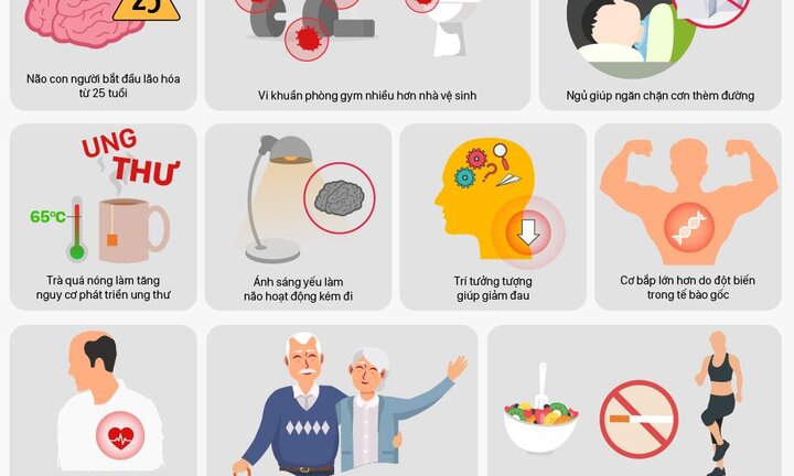 10 phát hiện bất ngờ về sức khỏe