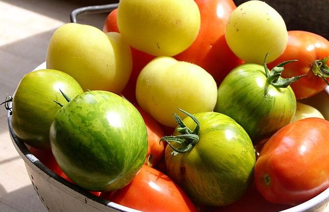 7 loại rau quả giá rẻ mùa hè phòng chống ung thư