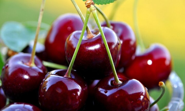 Bật mí những đồ ăn làm giảm cơn đau của người bệnh gout