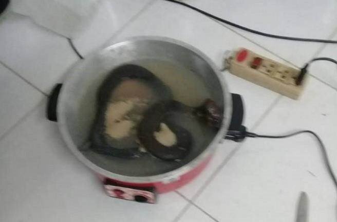 Bắt rắn hổ mang nấu ăn, và cái giá kinh hoàng người đàn ông phải trả