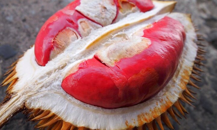 Sầu riêng ruột đỏ bỗng dưng được quảng cáo tràn lan trên mạng
