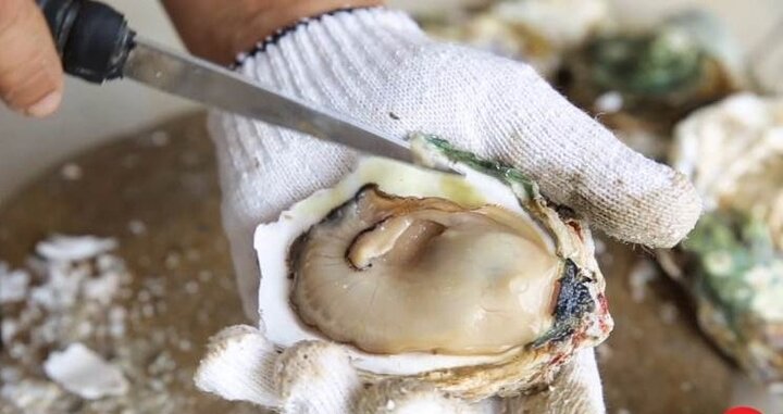 Ăn hàu sống ở nhà hàng, cụ ông 71 tuổi chết sau 2 ngày