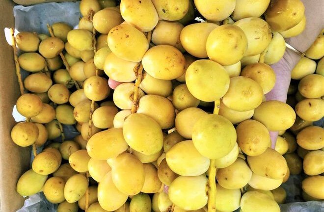 Chà là tươi nguyên cành giá nửa triệu đồng/kg bỗng nhiên gây 'sốt' thị trường