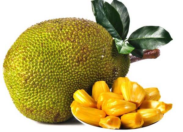 Phát hiện mới: Mít có thể phòng và điều trị ung thư