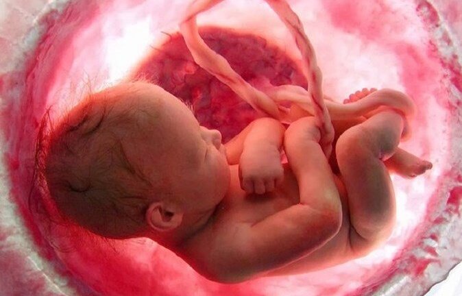 Lý giải sự thật kỳ lạ về thai kỳ hiếm khi bác sỹ nói với bà bầu