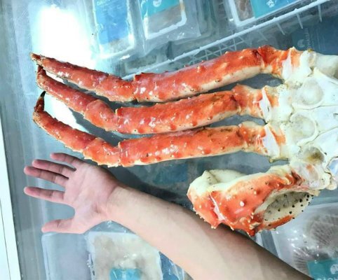 Chân cua hoàng đế dài hơn gần 1 mét giá vài triệu đồng/bộ