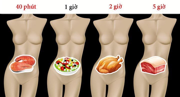 Mất bao lâu để tiêu hóa hết thực phẩm ăn hàng ngày?