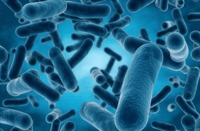 Liệu pháp mới cứu bệnh nhân ung thư giai đoạn cuối