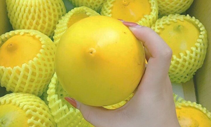 Vú sữa vàng lạ mắt giá lên tới 1 triệu đồng/kg