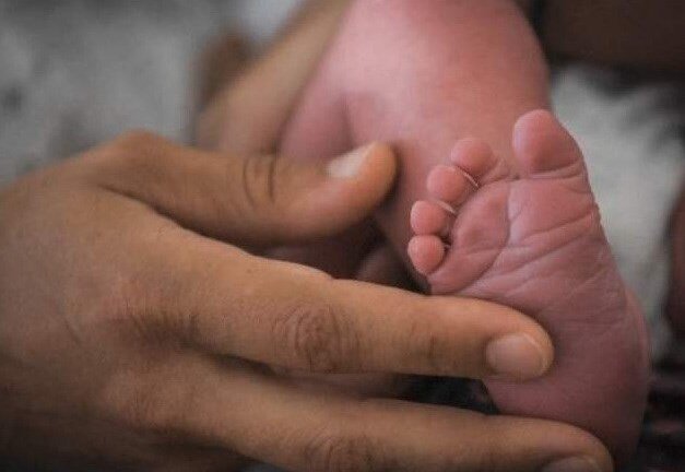 Em bé đầu tiên ra đời từ bà mẹ cấy ghép tử cung của người chết