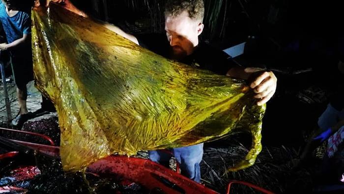 40kg nhựa trong dạ dày cá voi chết ở Philippines