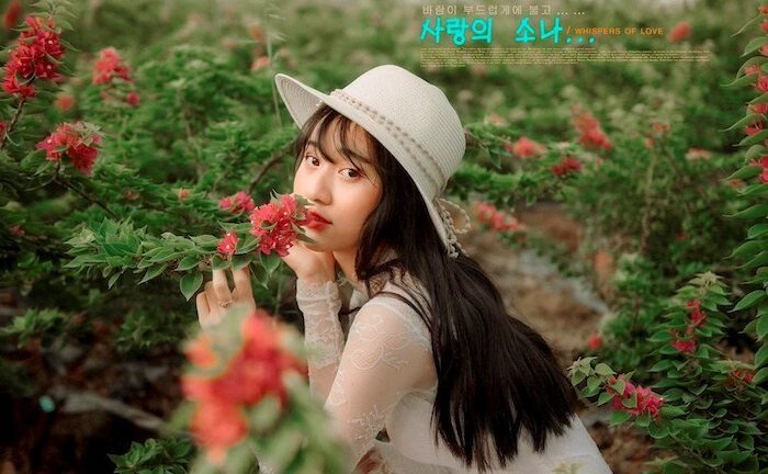 Ảnh: 9x sư phạm sở hữu vẻ đẹp hiền dịu, xinh như hot girl