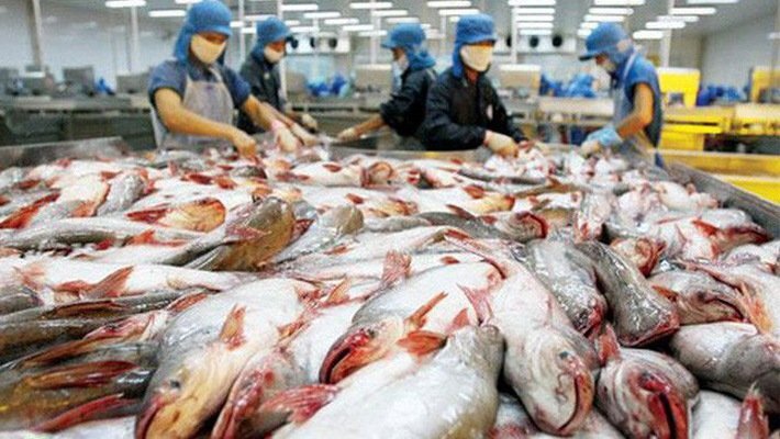 Xuất khẩu cá tra: Trung Quốc không còn là thị trường dễ tính