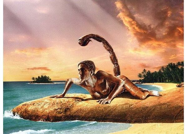 Tử vi ngày 30/8/2018 của 12 cung Hoàng Đạo: Bạch Dương kiệt sức do quá nhiều công việc