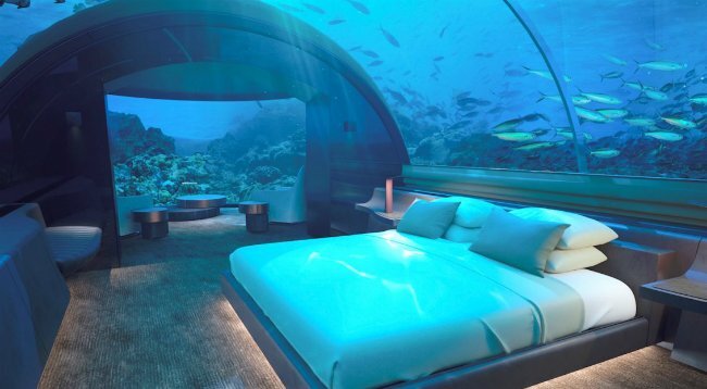 Nơi bạn có thể ngủ cạnh cá mập với với giá 50.000 USD/đêm