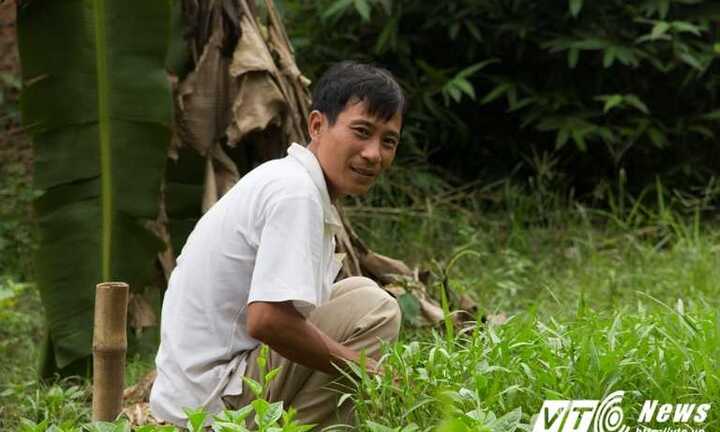 TP.HCM ngập nặng, nông dân 'khóc ròng' khi mất trắng hàng trăm triệu đồng