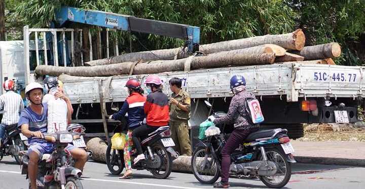 Cần cẩu bị gãy, một thanh niên chết thương tâm