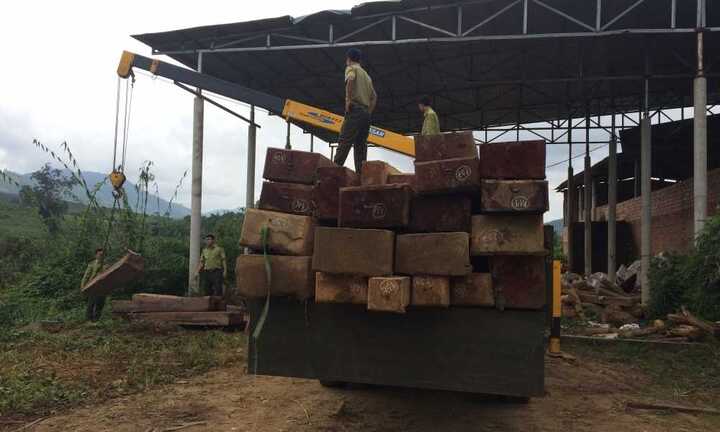 Phát hiện lô gỗ quý hiếm vô chủ