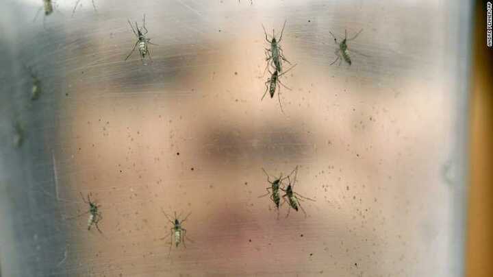 TP.HCM: 4 ngày tăng 14 ca nhiễm virus Zika