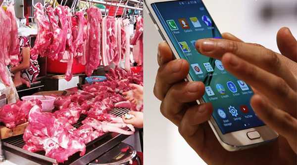 Vì sao dự án truy xuất nguồn gốc thịt heo bằng điện thoại bị chậm 6 ngày?