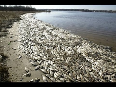 Gặp chàng trai Đắk Lắk quyết tâm chế tạo thiết bị cảnh báo ô nhiễm sau sự cố Formosa