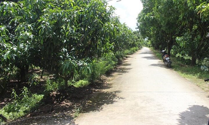 Trục lợi ngân sách nhà nước, Phó chủ tịch TP. Cao Lãnh bị cách hết chức vụ trong Đảng