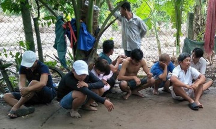 Đá gà ăn tiền, 14 đối tượng bị tạm giữ ở Bến Tre