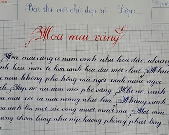 Học sinh tiểu học viết chữ đẹp mê hồn đến máy tính cũng 'chào thua'