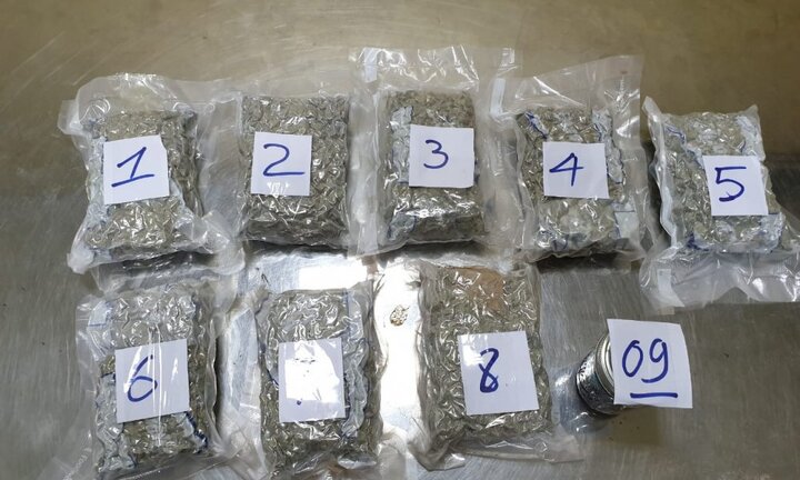 Việt kiều mang 2,3kg ma túy từ Mỹ về Việt Nam qua đường hàng không