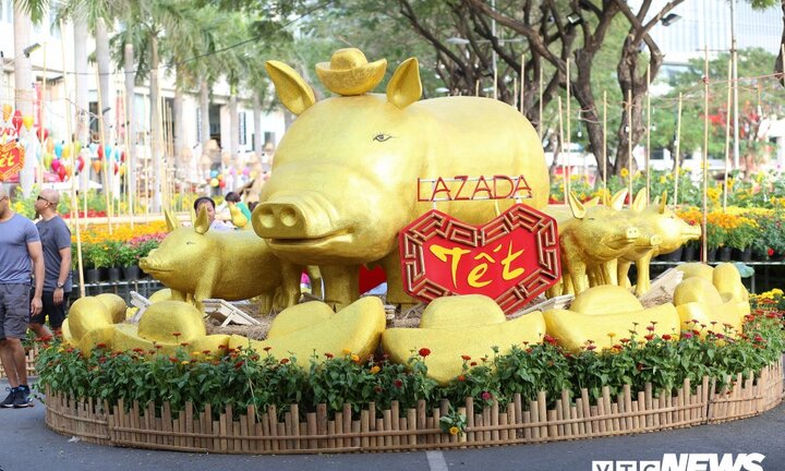 Ngắm đàn heo vàng ngộ nghĩnh tại chợ hoa xuân ở TP.HCM