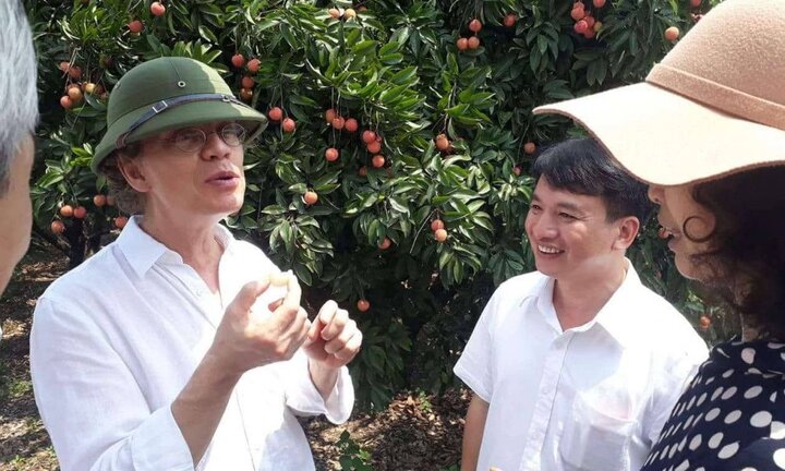 Vợ chồng Đại sứ Thụy Điển tự tay hái và ăn vải thiều sạch Hải Dương
