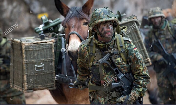 Quân đội Đức vẫn sử dụng ngựa để thồ hàng chuyên dụng