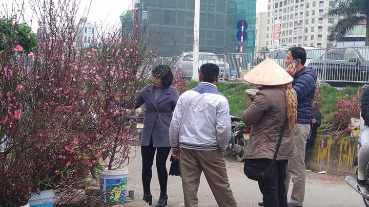 Khách chơi nườm nượp đổ về Nhật Tân săn đào quất