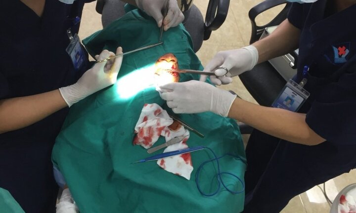 Đuổi chó cắn gà, người đàn ông bị chó lạ cắn nát vùng hàm mặt