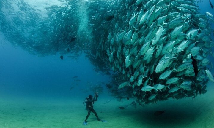 Chùm ảnh chứng minh, một khi thiên nhiên nổi giận, bạn sẽ chết thảm thế này