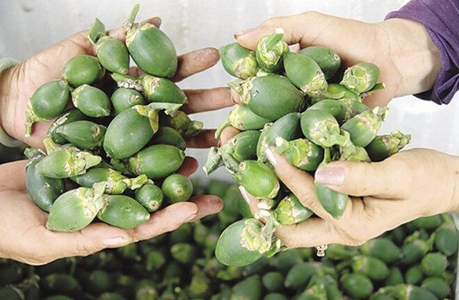 Mẹo giải rượu bia tức thì, đơn giản trong dịp nghỉ lễ 2/9