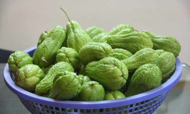 Su su: Loại rau dồi dào dinh dưỡng thường bị bỏ qua