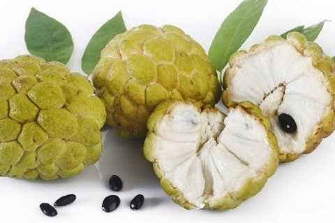 Cẩn thận ngộ độc vì ăn na sai cách