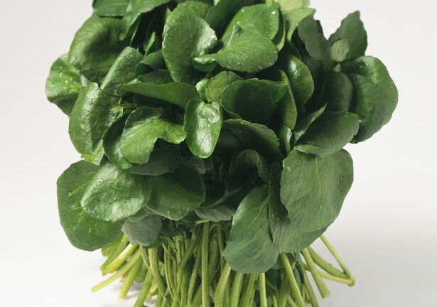 Điều kỳ diệu từ cải xoong: Cải thiện chất lượng tinh trùng ở nam giới