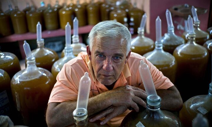 Kỳ lạ người dân Cuba dùng bao cao su để ngâm rượu trái cây