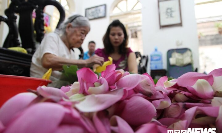 Hai bí mật ướp chè sen hảo hạng của người Hà Nội không phải ai cũng biết