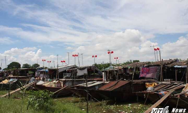 Những 'bông hoa đỏ' lạ mắt sản xuất điện miễn phí ở làng chài Hà Nội