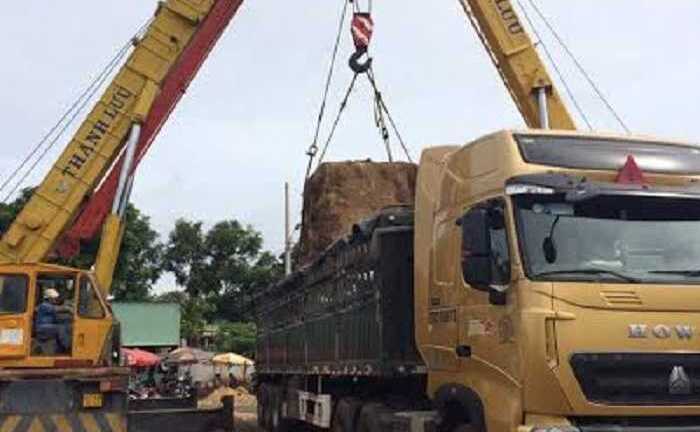 Bắt giữ thủ phạm 'chém' nát nhiều tuyến đường