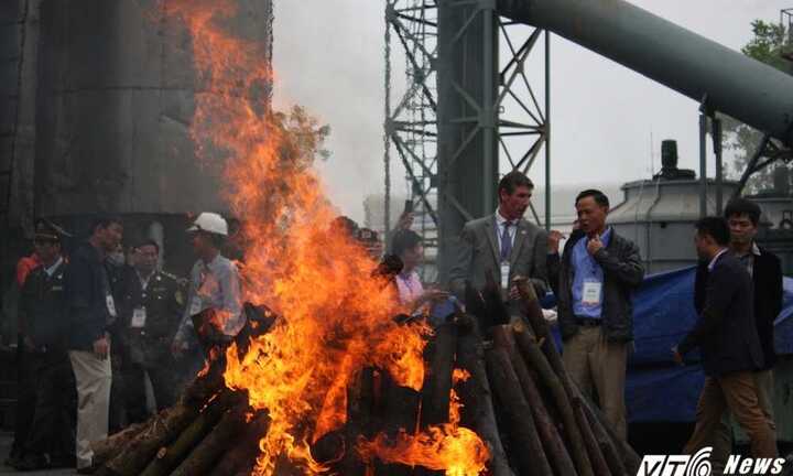 Cận cảnh việc tiêu hủy 2 tấn ngà voi, 70kg sừng tê giác trị giá 7 triệu USD