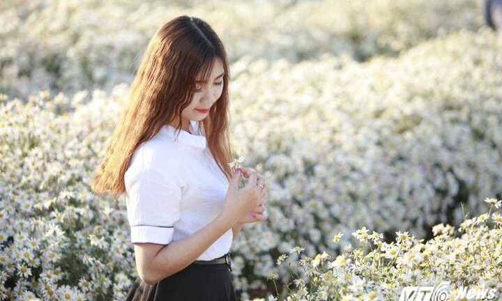 Ảnh: Thiếu nữ Hà Thành khoe sắc cùng 'cơn sốt hoa cúc họa mi'