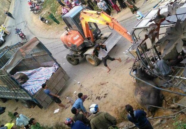 Hai xe tải đấu đầu ở khúc cua, 1 người chết thảm