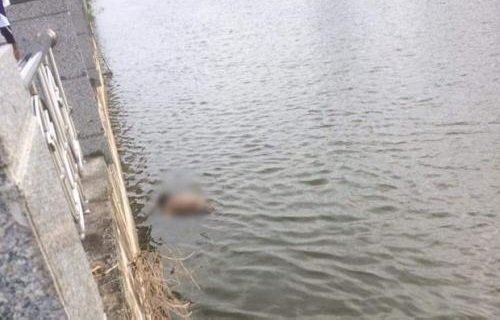 Phát hiện thi thể nam thanh niên trôi sông sau 2 ngày đi đám cưới